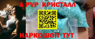 шишки Донской
