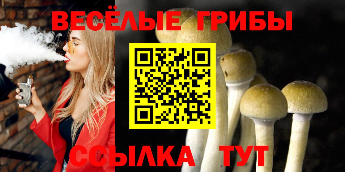 Галлюциногенные грибы Psilocybe  Вход с VPN  Луховицы  Псилоцибиновые грибы Psilocybine cubensis 