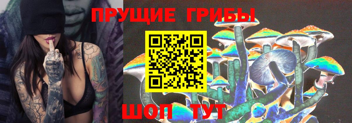 Псилоцибиновые грибы Psilocybe Луховицы